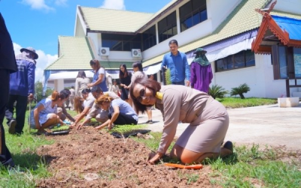 ปลูกต้นดาวเรืองเทิดพระเกียรติพระบาทสมเด็จพระปรมินทรมหาภูมิพลอดุลย