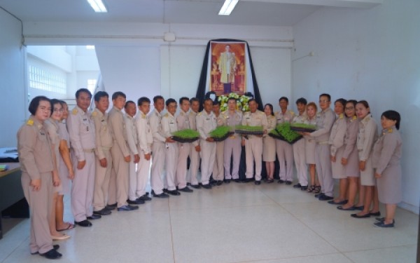 ปลูกต้นดาวเรืองเทิดพระเกียรติพระบาทสมเด็จพระปรมินทรมหาภูมิพลอดุลย