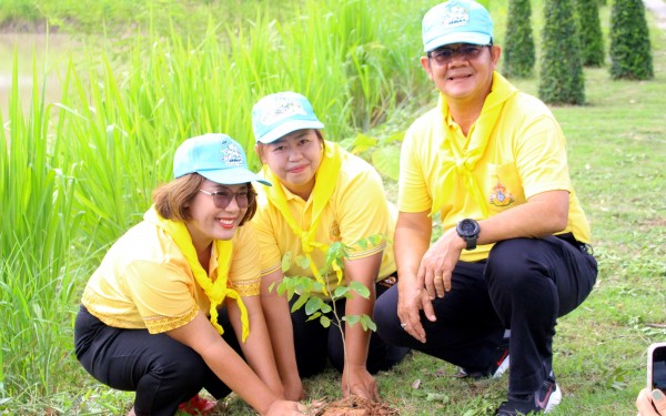 โครงการปลูกต้นไม้เฉลิมพระเกียรติ และโครงการ 72 ล้านต้น พลิกฟื้นผืนป่า เฉลิมพระเกียรติพระบาทสมเด็จพระเจ้าอยู่หัว