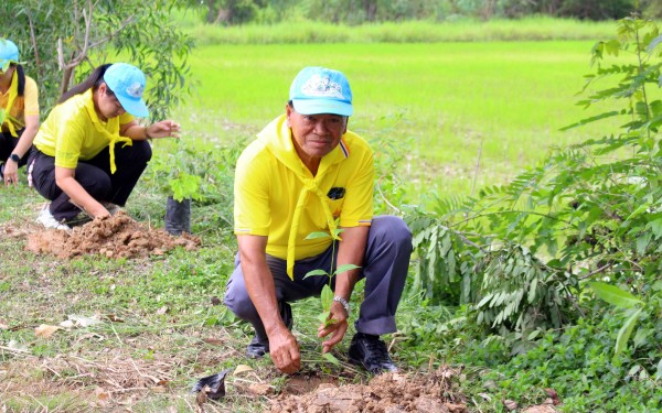 โครงการปลูกต้นไม้เฉลิมพระเกียรติ และโครงการ 72 ล้านต้น พลิกฟื้นผืนป่า เฉลิมพระเกียรติพระบาทสมเด็จพระเจ้าอยู่หัว