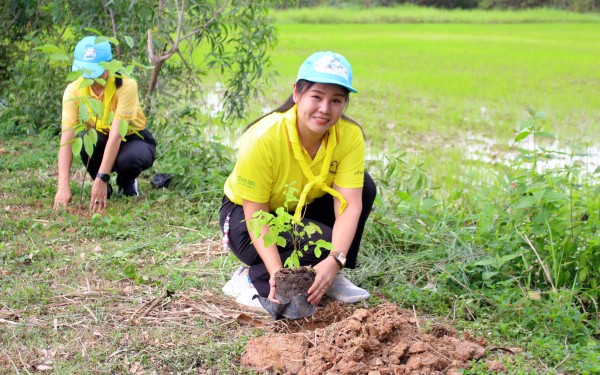 โครงการปลูกต้นไม้เฉลิมพระเกียรติ และโครงการ 72 ล้านต้น พลิกฟื้นผืนป่า เฉลิมพระเกียรติพระบาทสมเด็จพระเจ้าอยู่หัว