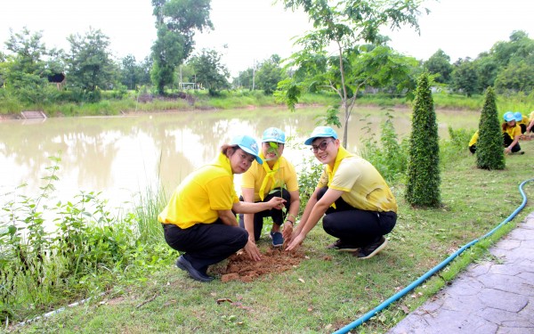 โครงการปลูกต้นไม้เฉลิมพระเกียรติ และโครงการ 72 ล้านต้น พลิกฟื้นผืนป่า เฉลิมพระเกียรติพระบาทสมเด็จพระเจ้าอยู่หัว