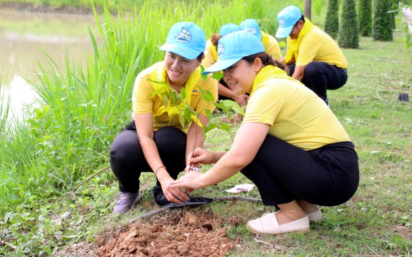 โครงการปลูกต้นไม้เฉลิมพระเกียรติ และโครงการ 72 ล้านต้น พลิกฟื้นผืนป่า เฉลิมพระเกียรติพระบาทสมเด็จพระเจ้าอยู่หัว